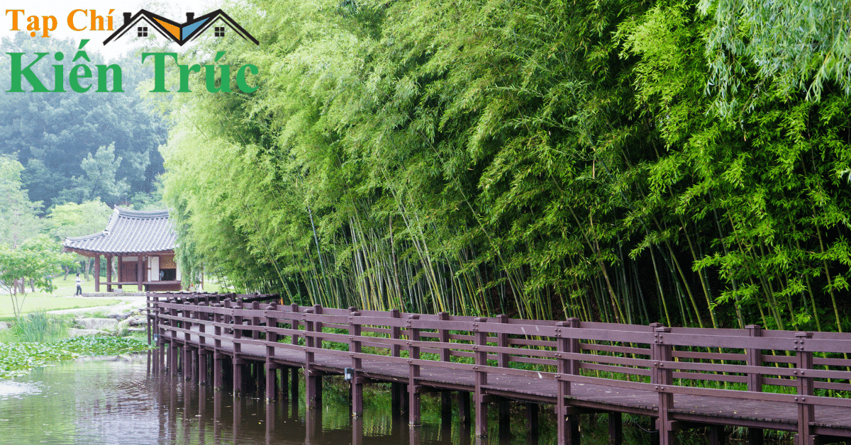 Khu Phức Hợp Bamboo Dailai